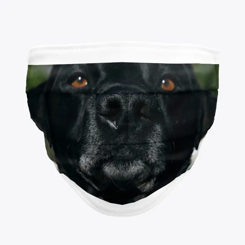 Percy the Labrador Face Mask